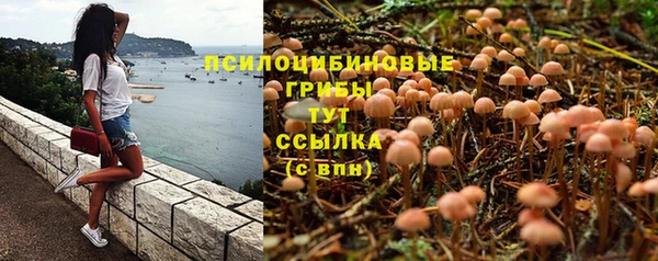 винт Абинск