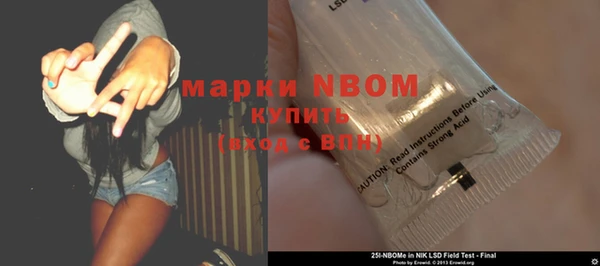 стаф Алзамай