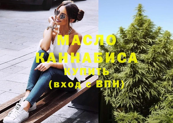 тгк Абаза