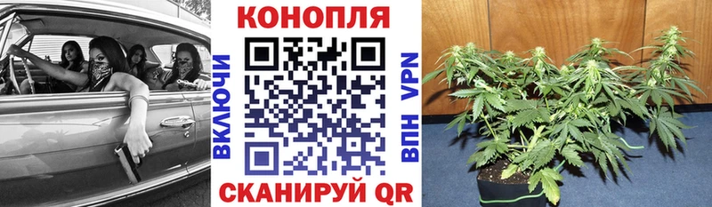 mega ссылки Архангельск Каннабис план что такое
